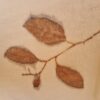 Poncho / Scarf - Eucalyptus globulus - Image 9