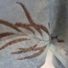 Poncho / Scarf - Ocean Veil - Image 5